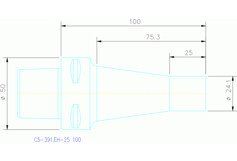 C5-391.EH-25 100