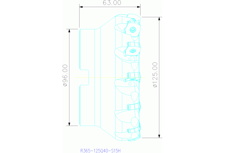 R365-125Q40-S15H