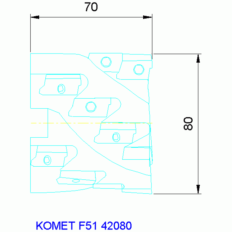 F51 42080