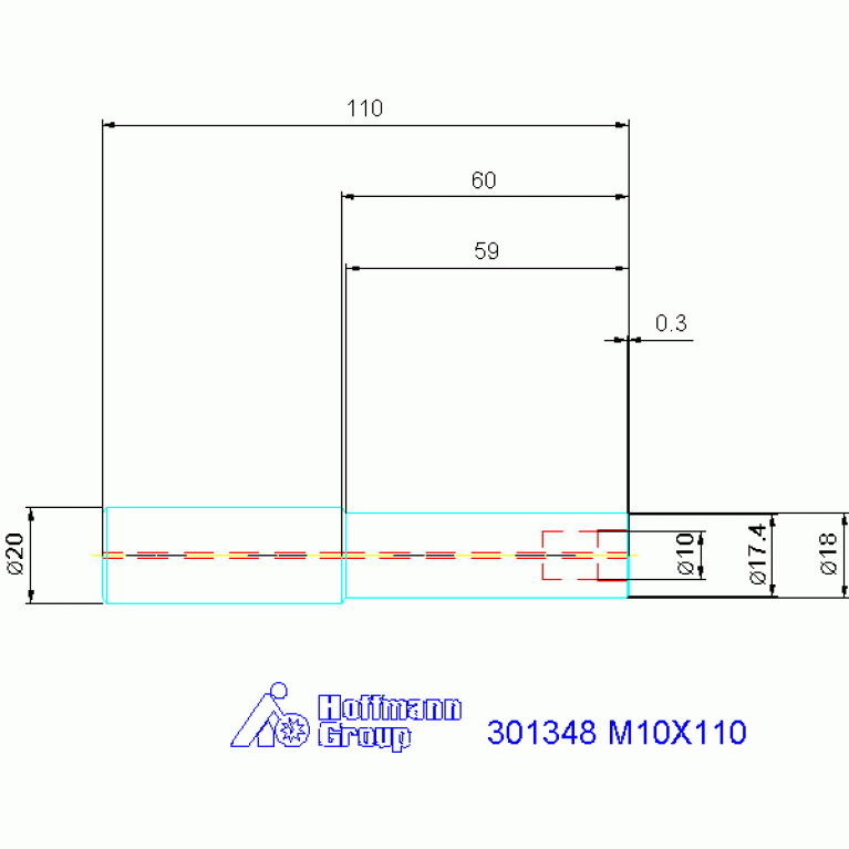 301348 M10X110