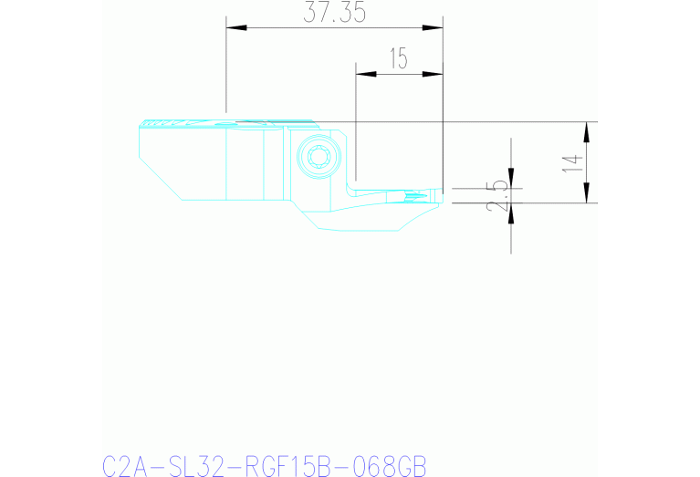 C2A-SL32-RGF15B-068GB