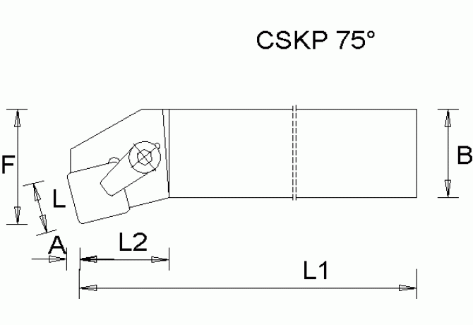 CSKPR2525M12