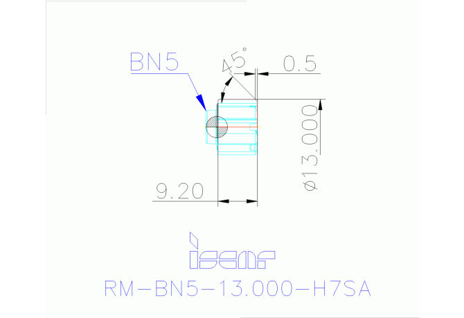 RM-BN5-13.000-H7SA IC08