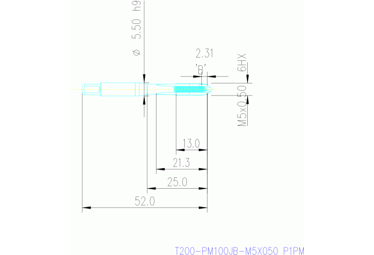 T200-PM100JB-M5X050 P1PM