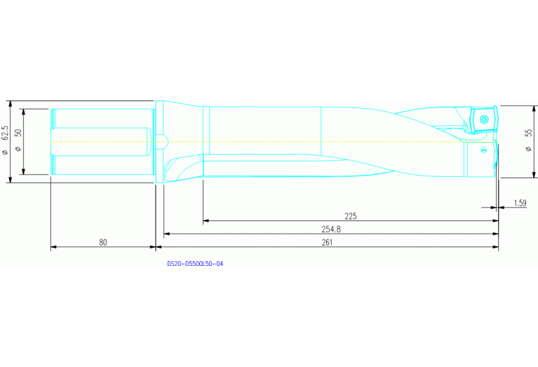 DS20-D5500L50-04
