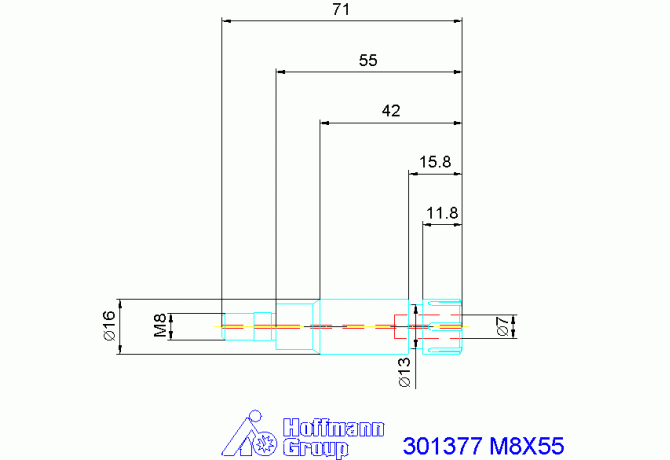 301377 M8X55