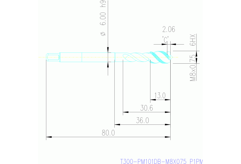 T300-PM101DB-M8X075 P1PM