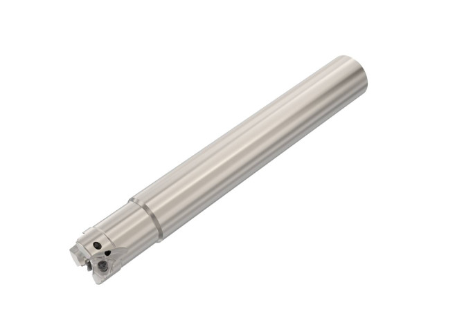 R217.96-2020.0-04-3A