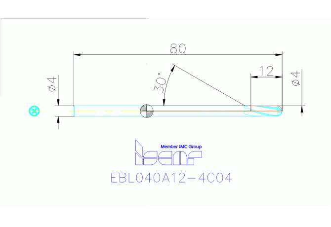 EBL040A12-4C04 IC900