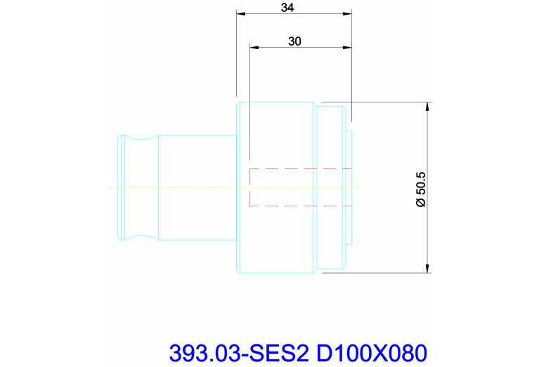 393.03-SES2 D100X080