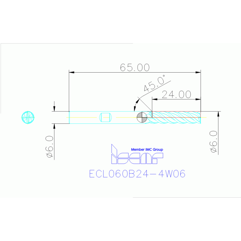 ECL060B24-4W06 IC900