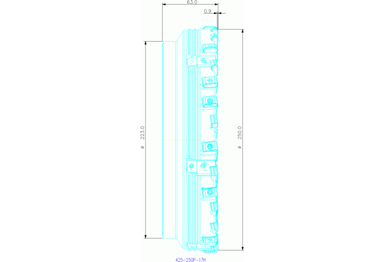 425-250P-17H