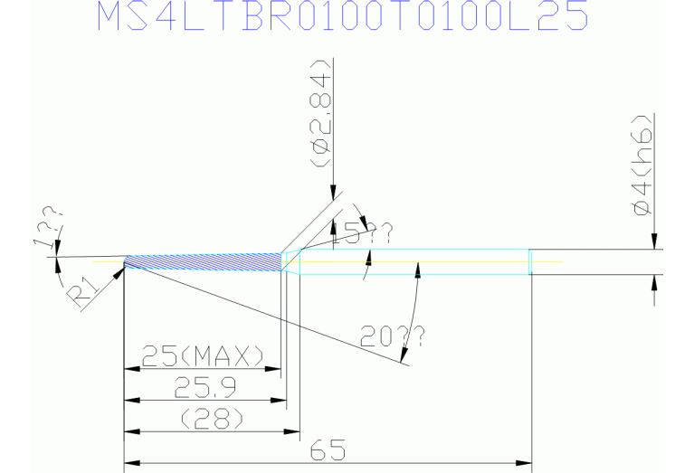 MS4LTBR0100T0100L25