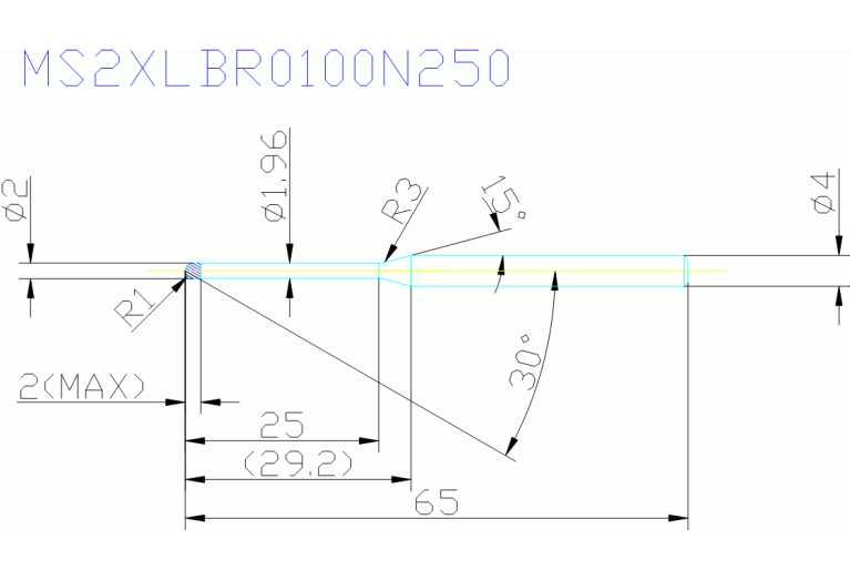 MS2XLBR0100N250