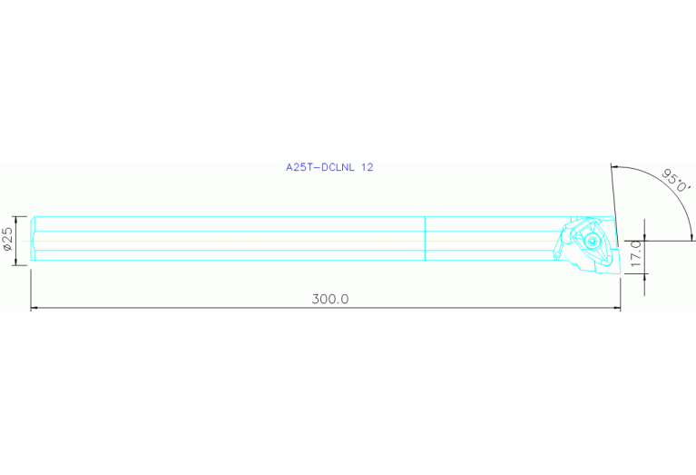 A25T-DCLNL 12