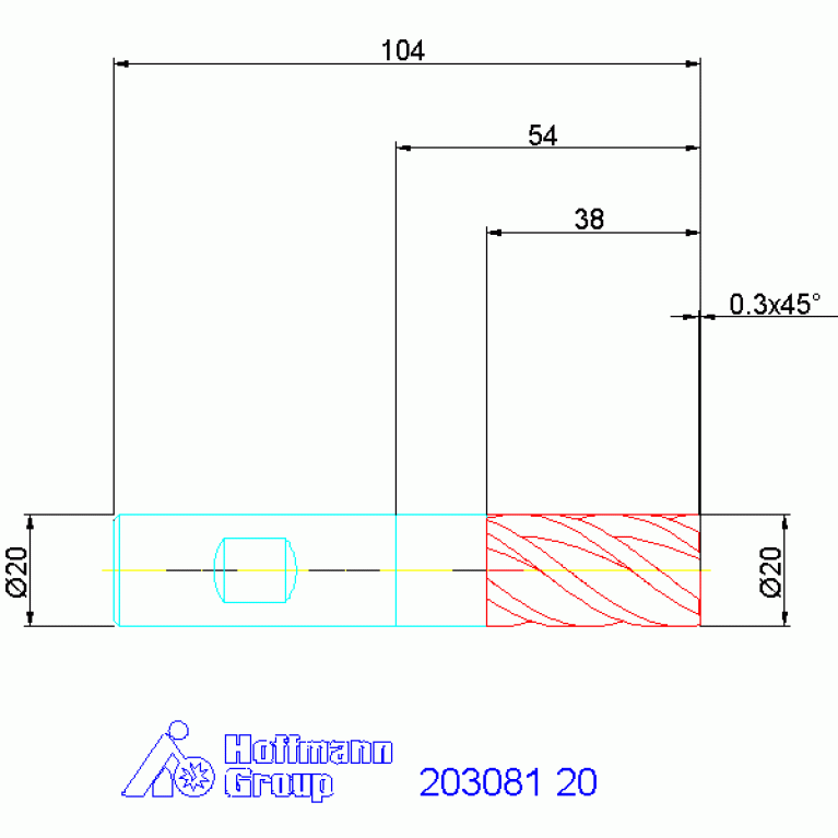 203081 20