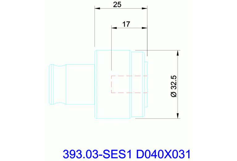 393.03-SES1 D040X031