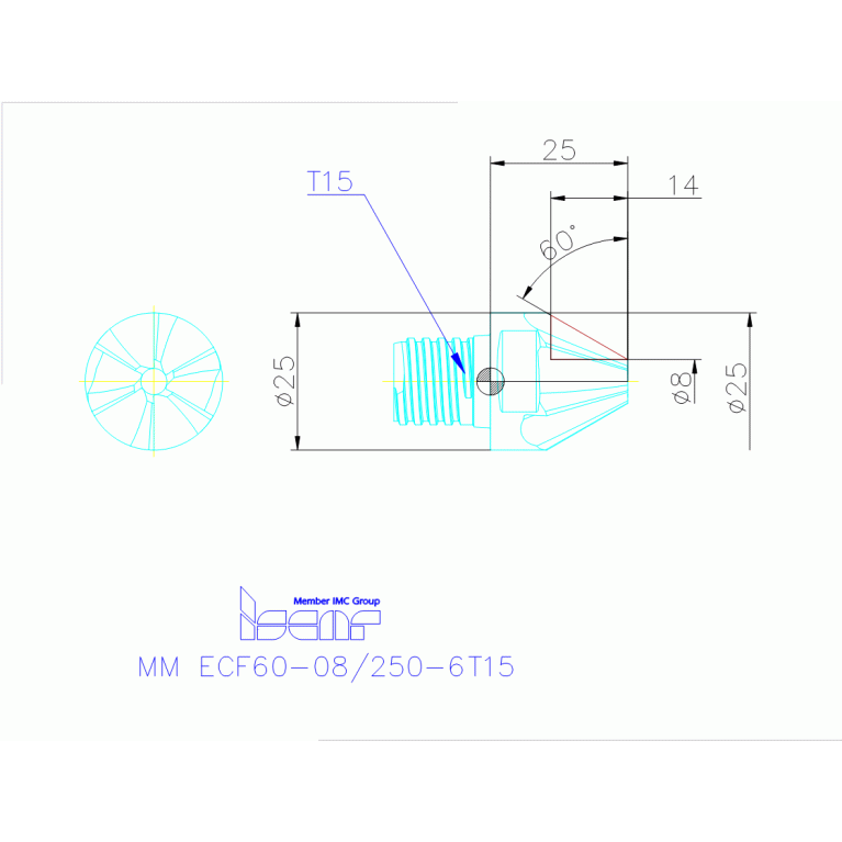 MM ECF60-08/250-6T15 IC908