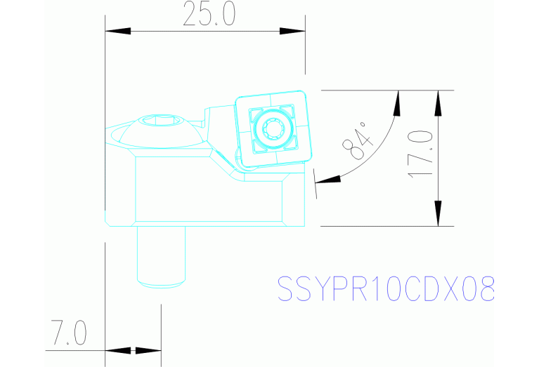 SSYPR10CDX08