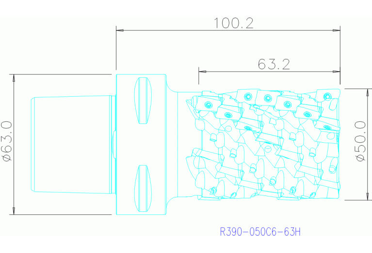 R390-050C6-63H