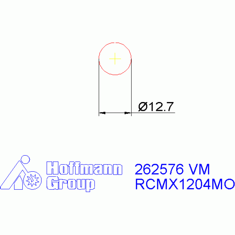 262576 VM