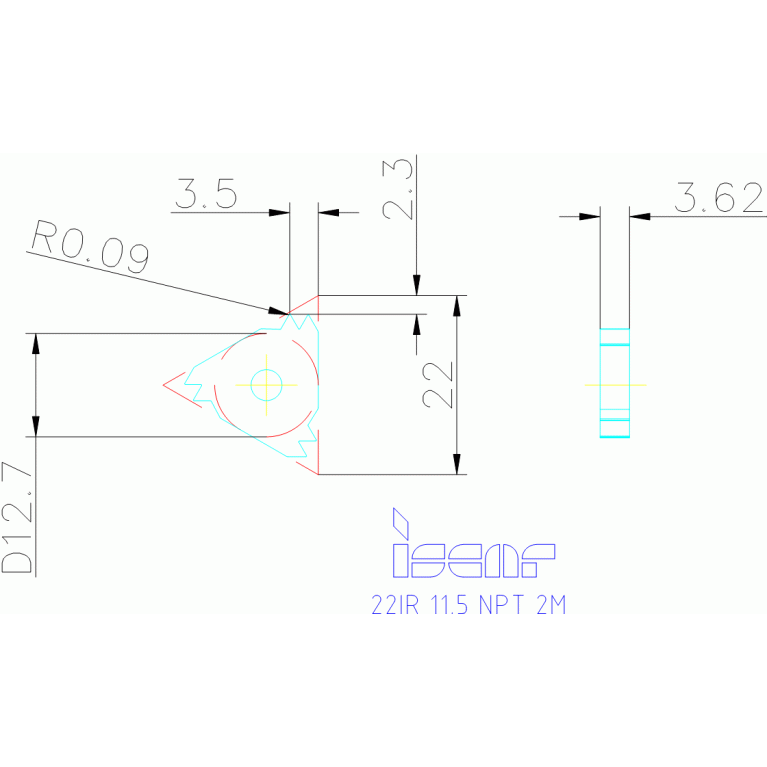 22IR 11.5 NPT 2M IC908