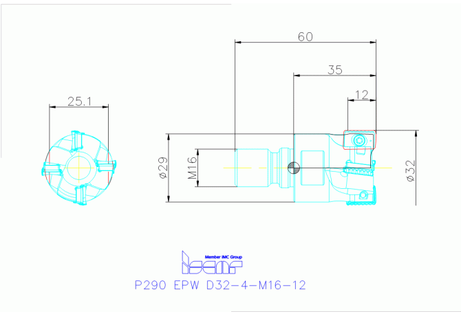 P290 EPW D32-4-M16-12