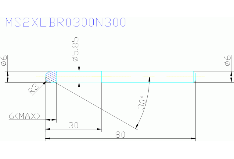 MS2XLBR0300N300