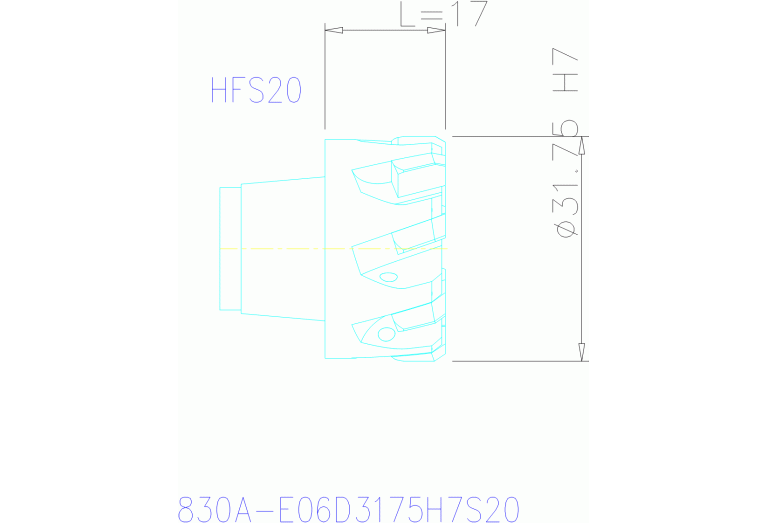 830A-E06D3175H7S20