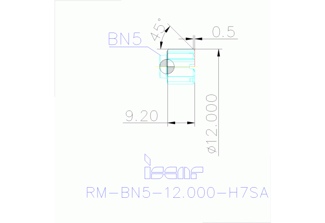 RM-BN5-12.000-H7SA IC08