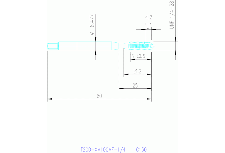 T200-XM100AF-1/4 C110