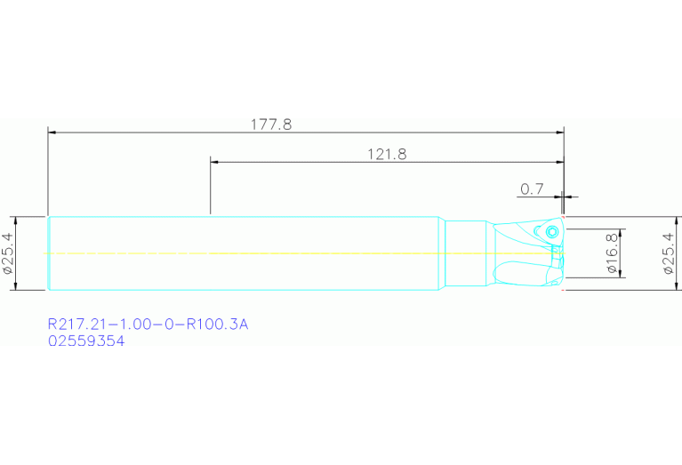 R217.21-1.00-0-R100.3A