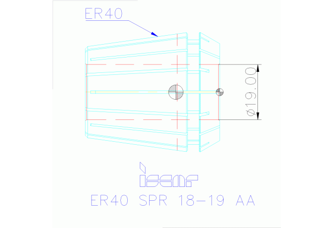 ER40 SPR 18-19 AA