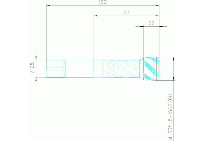 21569-M33X1.5