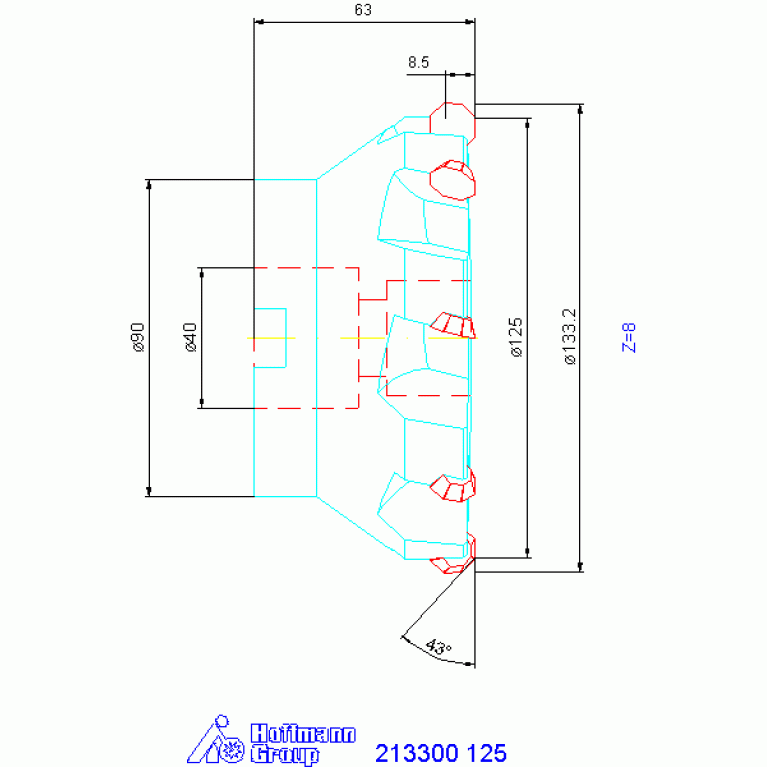 213300 125