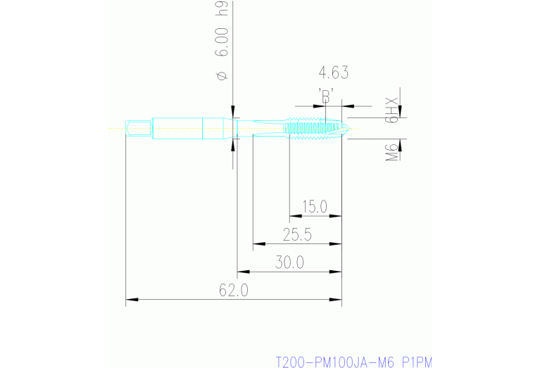 T200-PM100JA-M6 P1PM