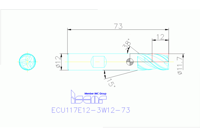 ECU117E12-3W12-73 IC900