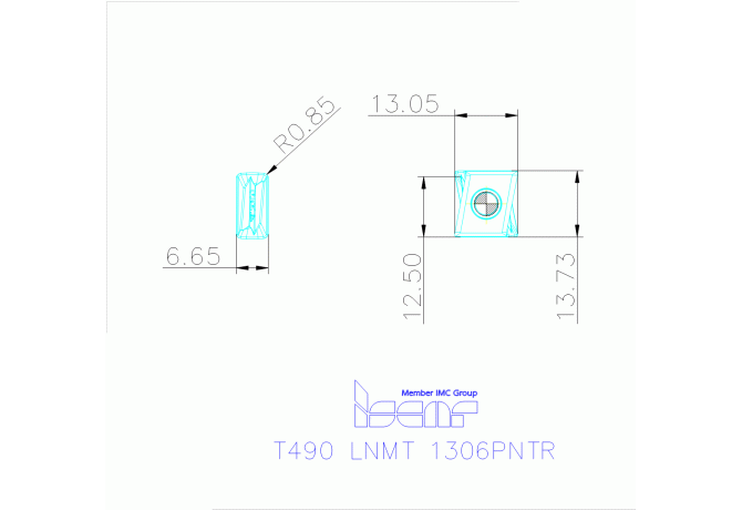 T490 LNMT 1306PNTR IC330
