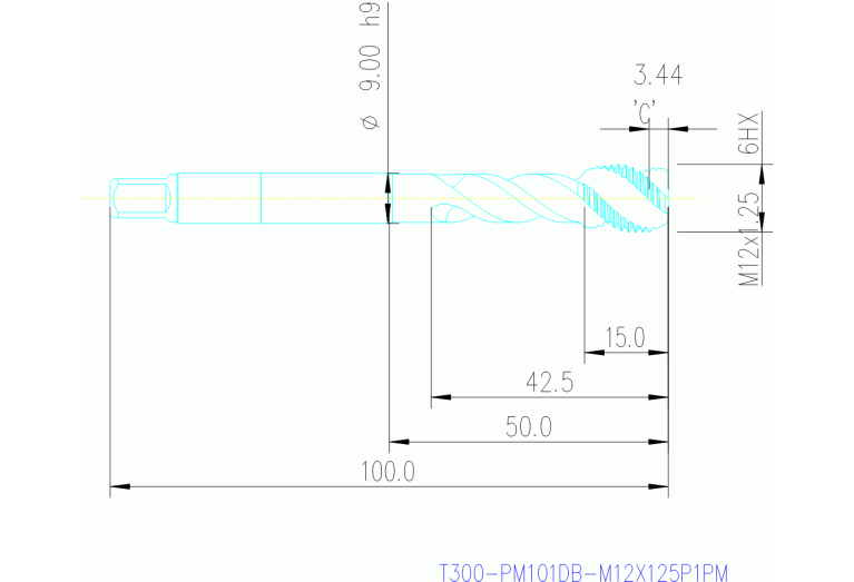 T300-PM101DB-M12X125P1PM