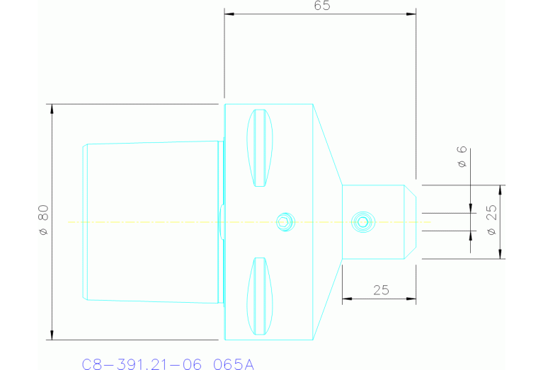 C8-391.21-06 065A