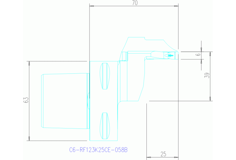C6-RF123K25CE-058B