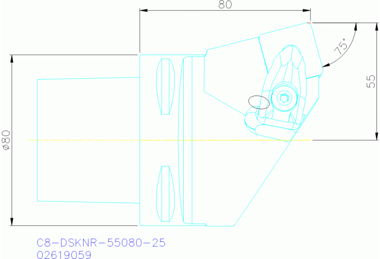 C8-DSKNR-55080-25
