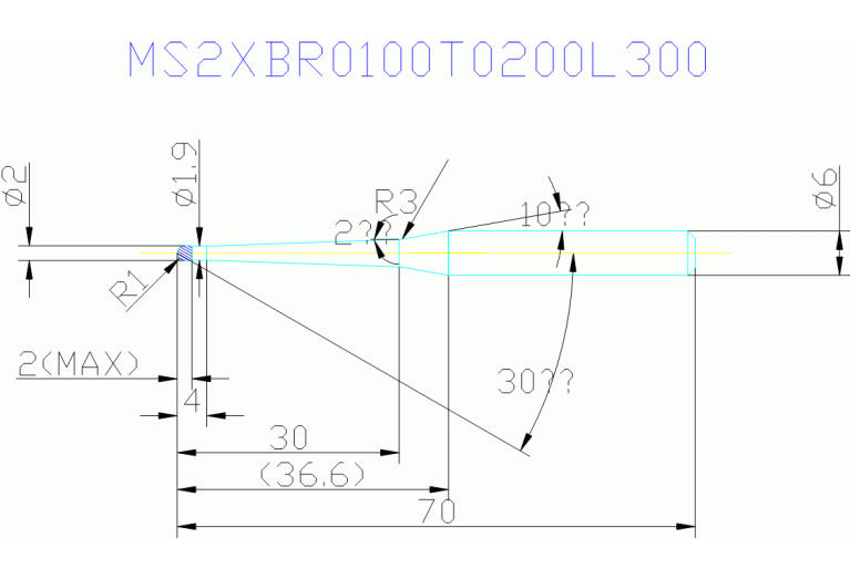 MS2XBR0100T0200L300