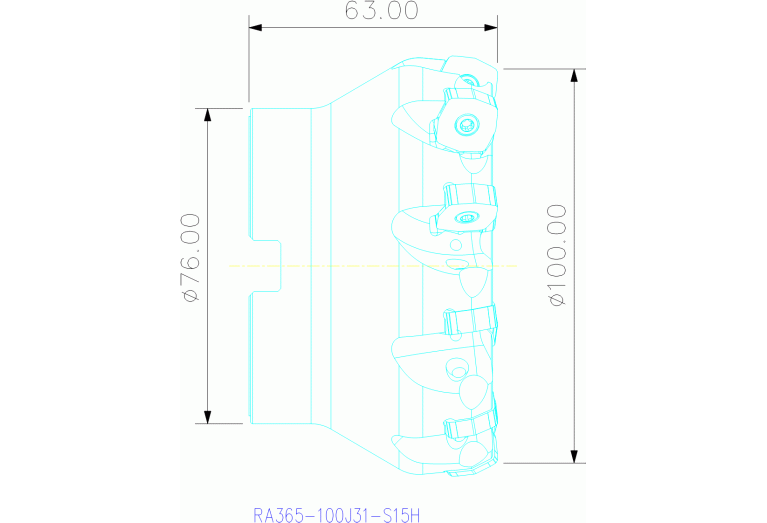 RA365-100J31-S15H