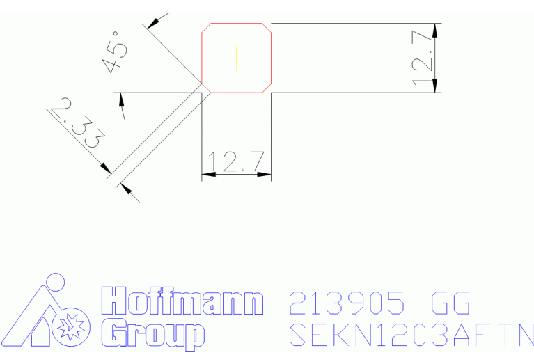213905 GG