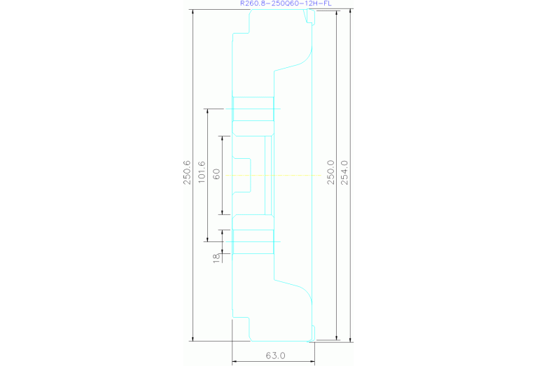 R260.8-250Q60-12H-FL