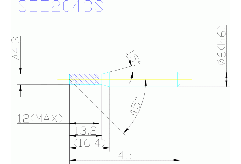 SEE2043S