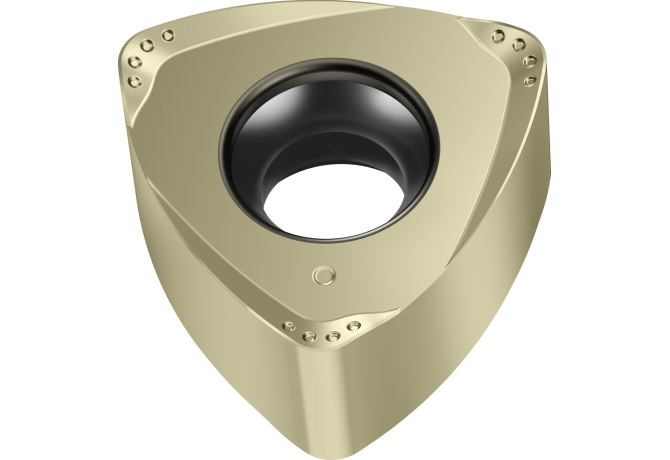 P23696-1.0 WSP45G