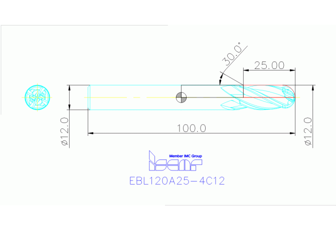 EBL120A25-4C12 IC900