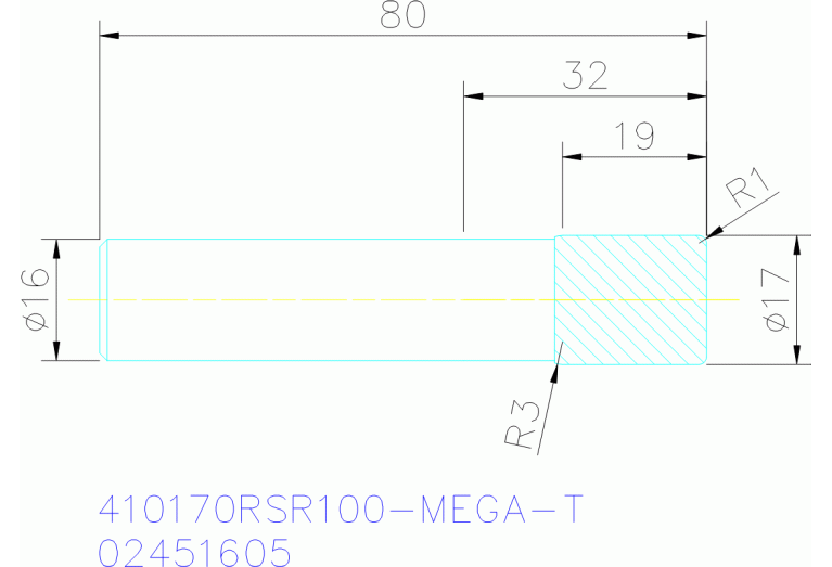 410170RSR100-MEGA-T